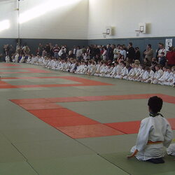 Judo