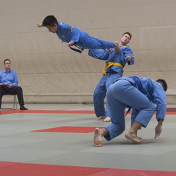 Vovinam